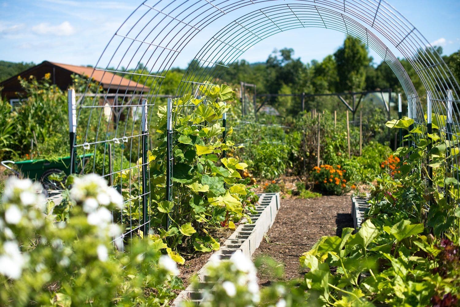 Folk Soul Farm
