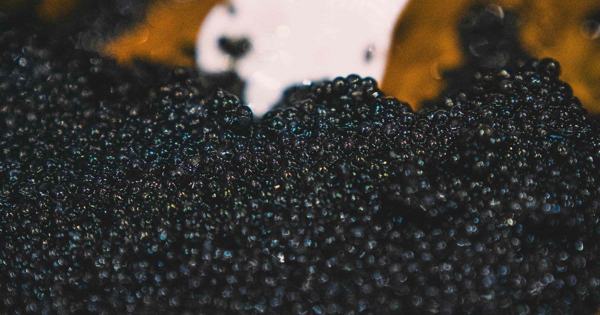 Fried Chicken & Caviar