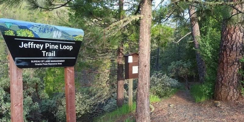 Illinois Valley Nickel Mining Threat Hike Series: Jeffrey Pine Loop River Walk