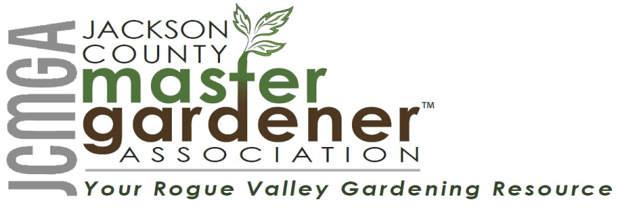 Cultivating Companions: Growing Together Through Plants