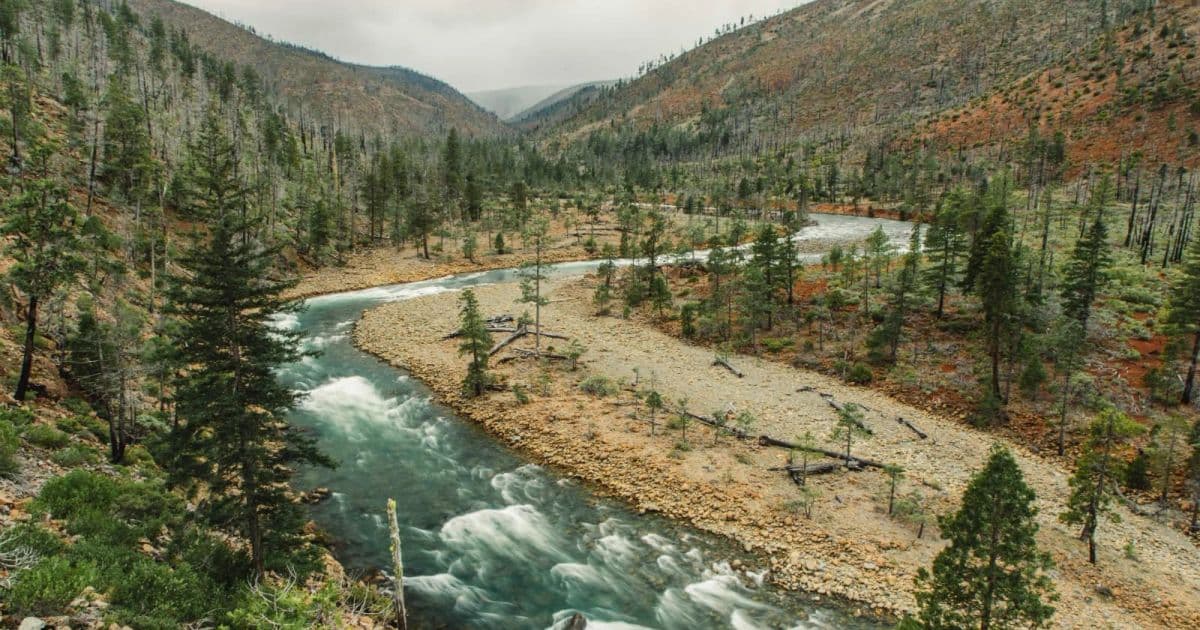 Illinois Valley Nickel Mining Threat Hike Series: Rough and Ready Botanical Wayside Hike