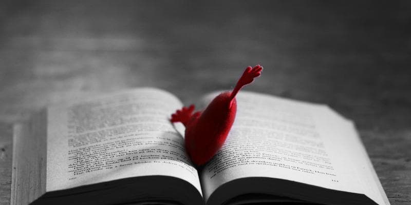 Tiny Libraries