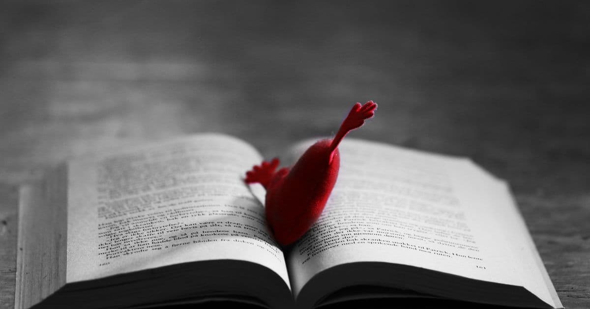 Tiny Libraries