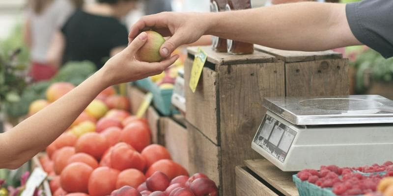 Compost Drop-Off at the Ashland Tuesday Market