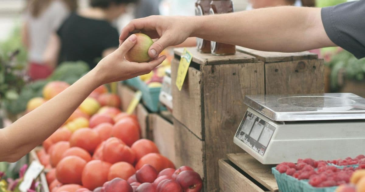 Compost Drop-Off at the Ashland Tuesday Market