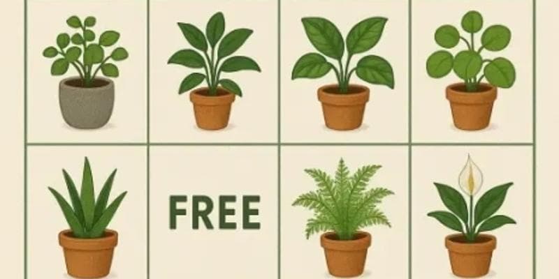 Plant Bingo
