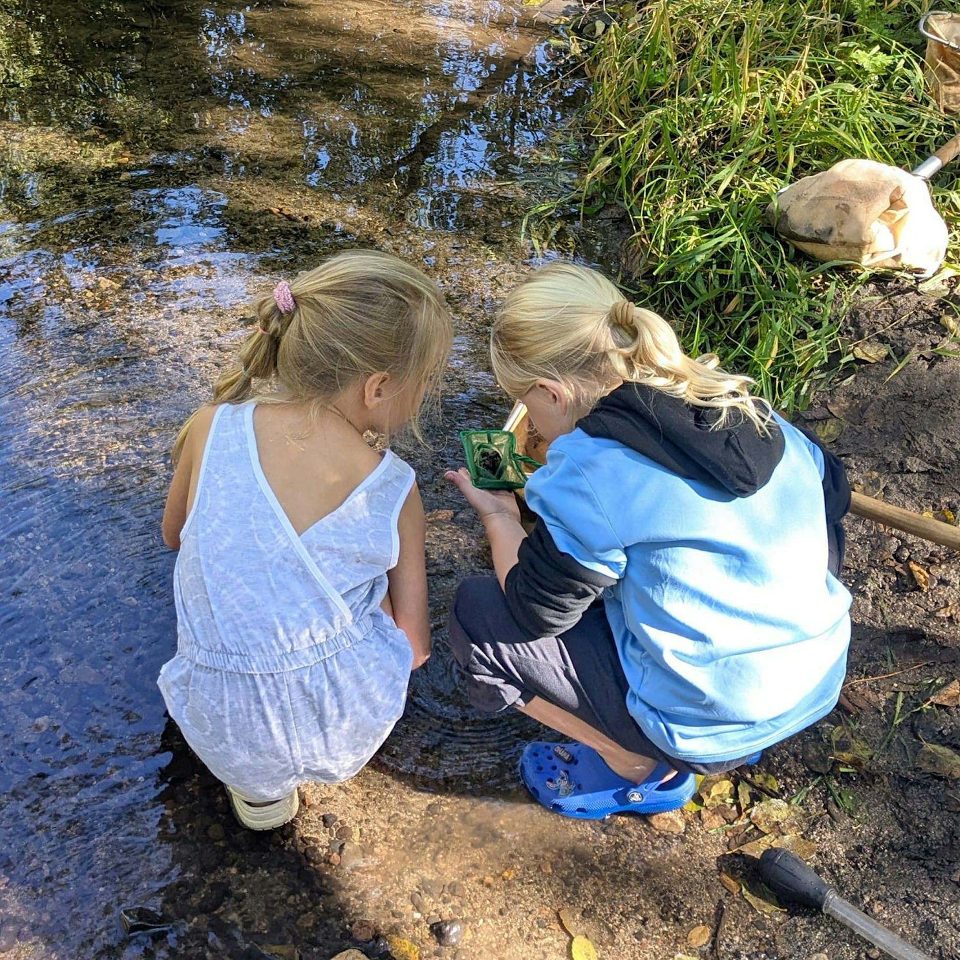 Salmon Watch