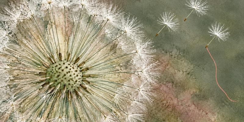 Angel Investing 201: Investing With a Thesis