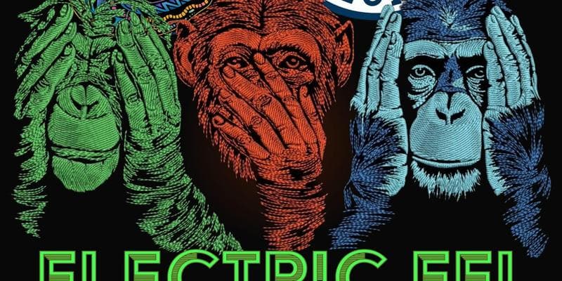 Electric Eel w/ Blackstrap Bluegrass