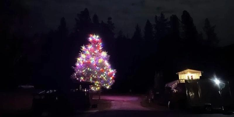 Annual Tree Lighting