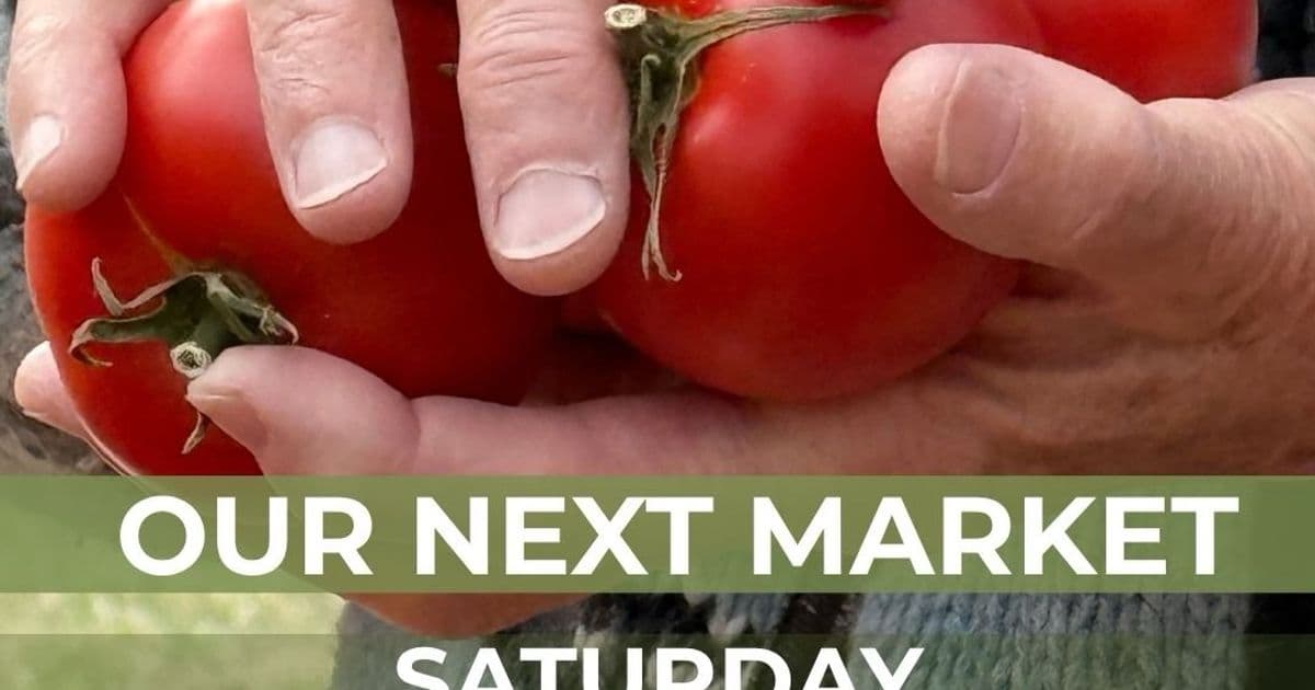 Stillheart Farm POP UP Farm Stand!