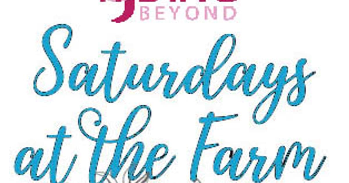 Saturday at the Farm: Horseplay for Grownups