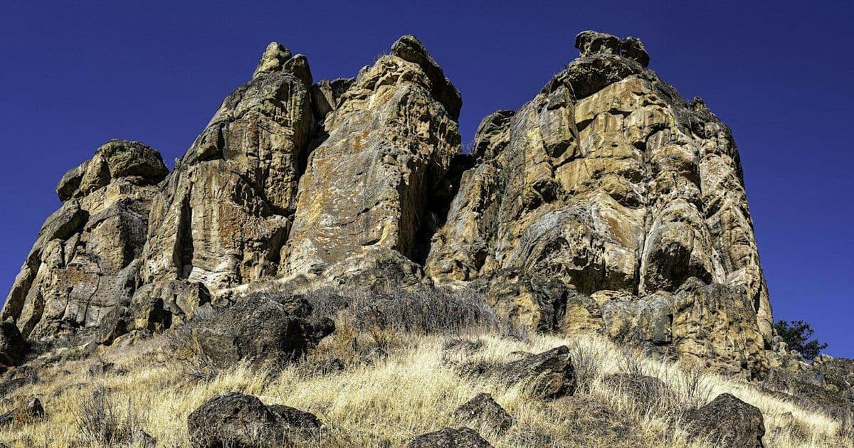 History & Natural History of the Bluff