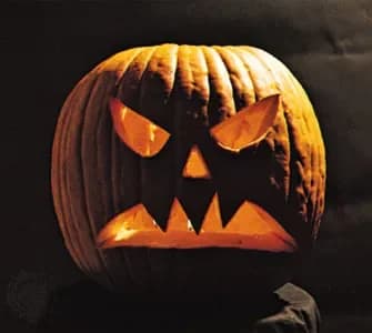 Spooky Vines & Vinyls