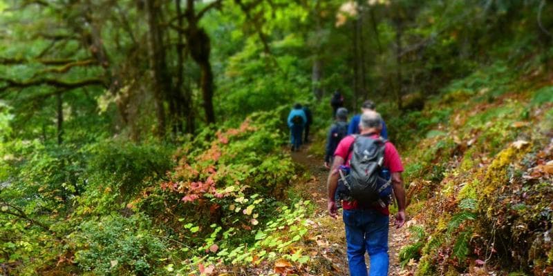 Illinois Valley Salmon Viewing Hike