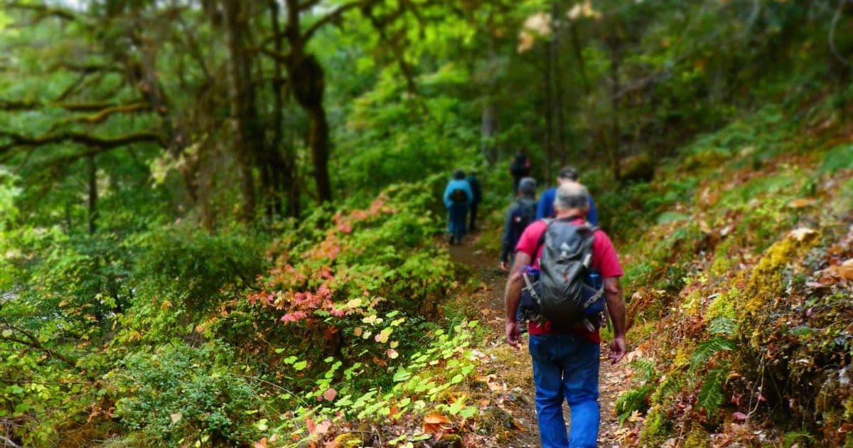 Illinois Valley Salmon Viewing Hike
