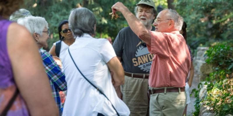 Lithia Park Guided Walks