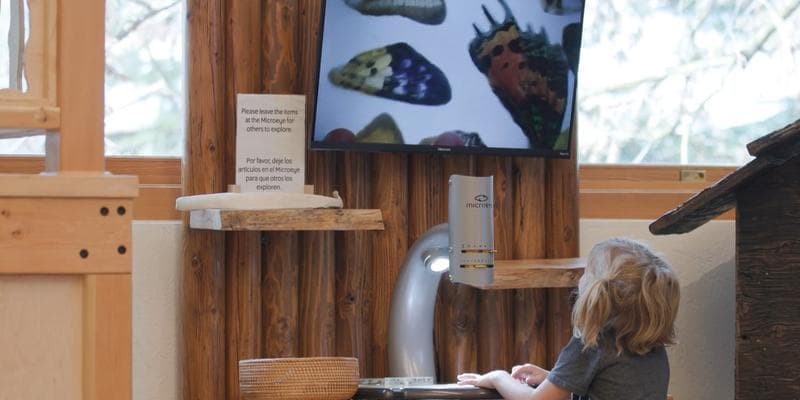 Free Day at the Museum in honor of Lyn Hennion