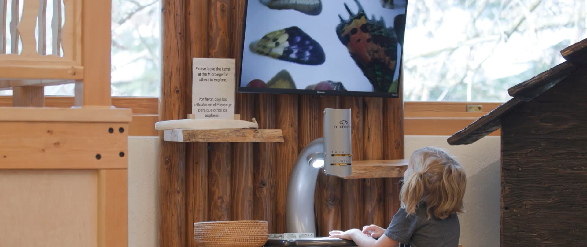 Free Day at the Museum in honor of Lyn Hennion