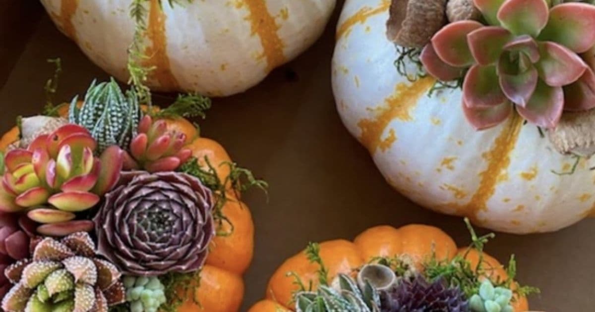 Thanksgiving Centerpiece Workshop
