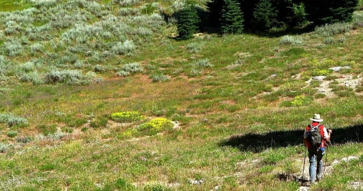 Hike into the McDonald Peak Roadless Area